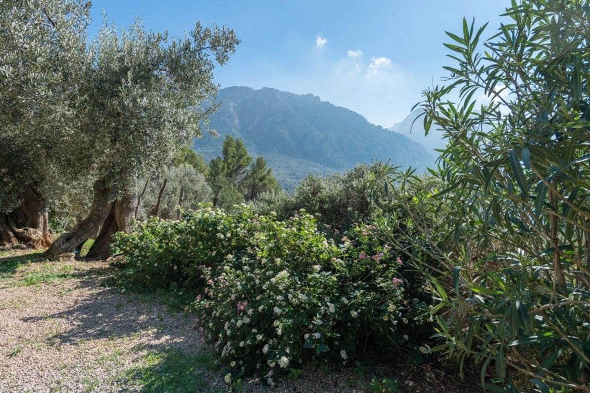 Casita De Montana Cerca Del Mar Vendégház Fornalutx Kültér fotó